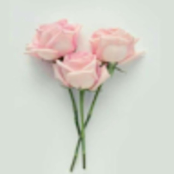 Meet your Posher, Gianna - Picture 1 of 1